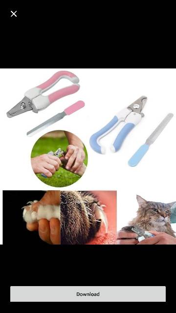 Gunting kuku anjing hewan kucing tupai kelinci. Dog cat nail scissor trimmer