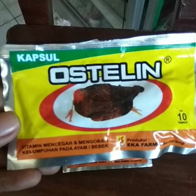 obat ayam lumpuh OSTELIN Eka farma