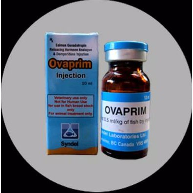Ovaprim Hormon Ikan