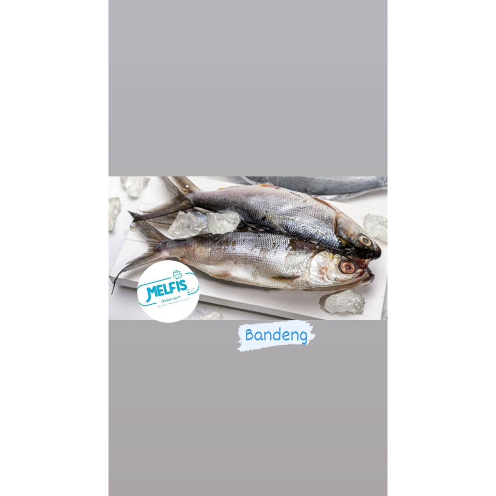 

Ikan Bandeng Beku Frozen 1 Kg