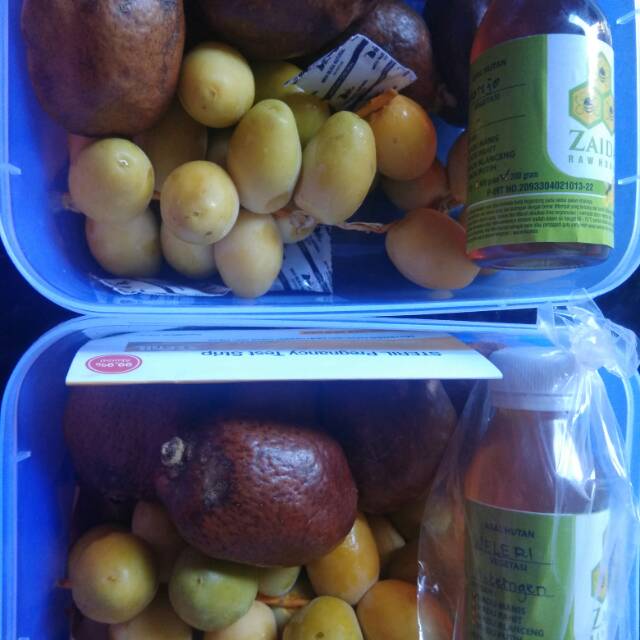 

Paket PROMIL | kurma barhe |buah zuriat |madu hutan murni zaida