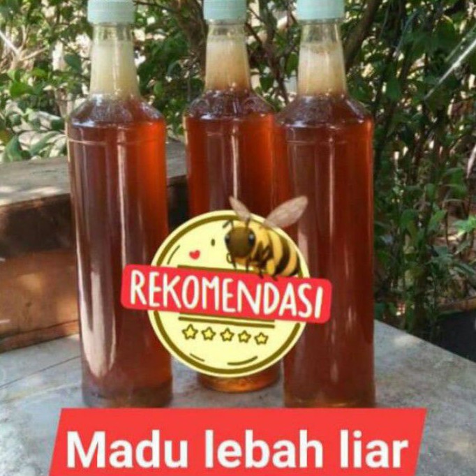 

Madu lebah 460 ml
