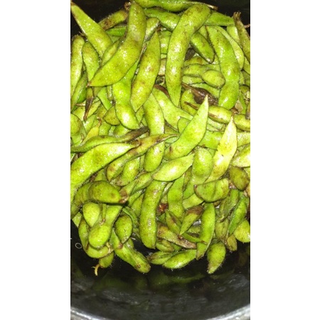 

Sayur Kedelai Edamame segar