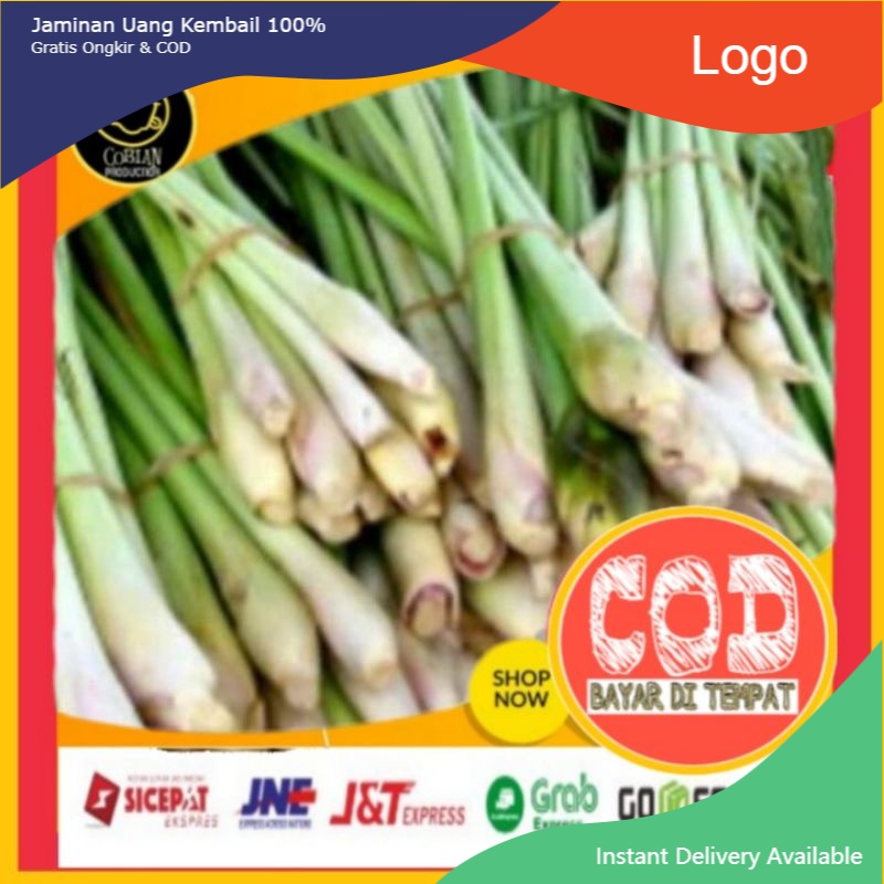 

Serai 1 ikat Sereh Sayuran Segar Sayuran Fresh Sayuran Organik Sayuran Online Sayuran Terlaris