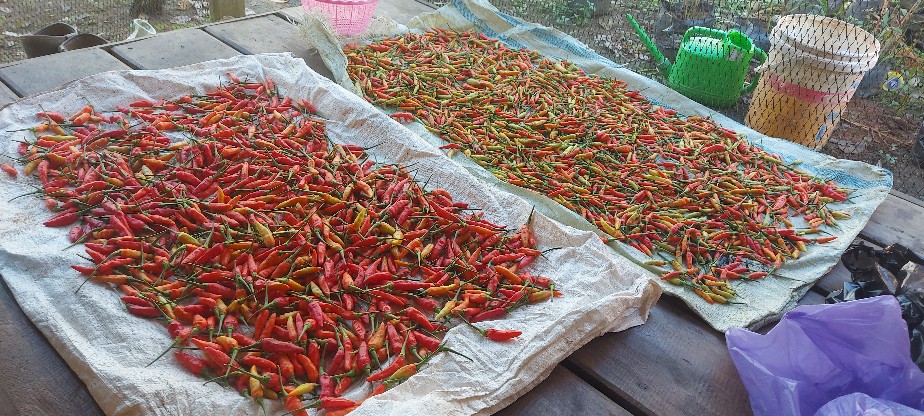 O Ring Oring Karet Stik Pompa Hama Elektrik Nozzle