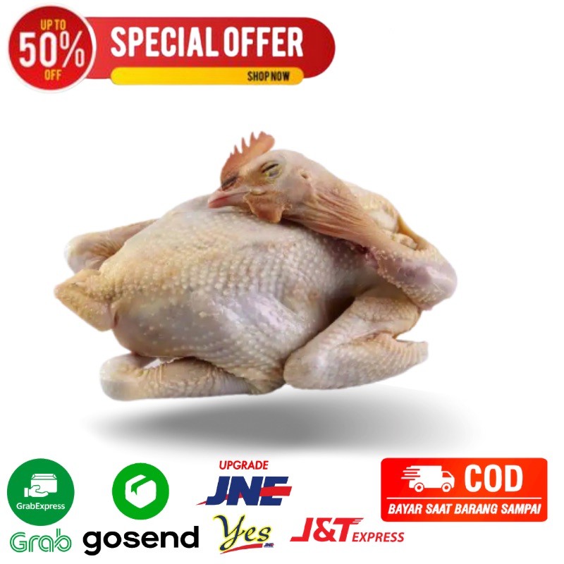 

Ayam Pejantan Per Ekor Daging Segar Fresh Bandung