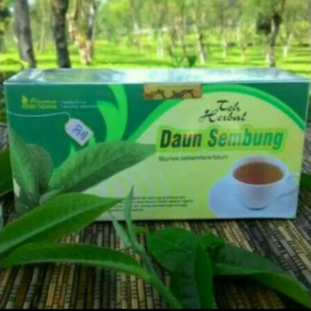 

Teh celup daun sembung tazakka berkhasiat meredakan nyeri isi 20 kantong