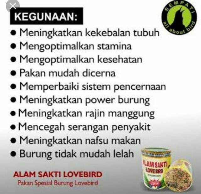 Alam sakti pakan burung Love Bird