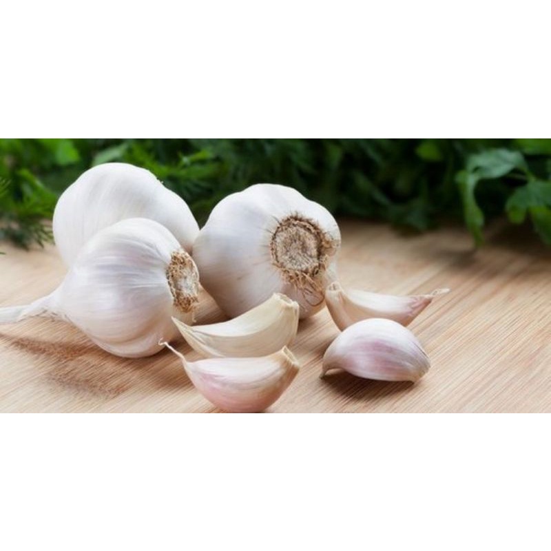 

Bawang putih 500 gram