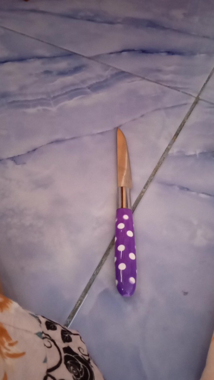 Pisau Buah Stainless / Pulkadot / Pisau Buah / Pisau Kue Pulkadot