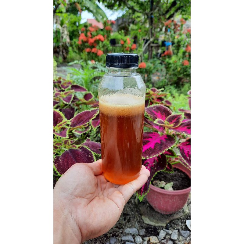 

Madu manis murni hutan liar tanpa campuran