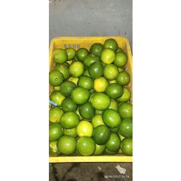 

LEMONCALIFORNIA
