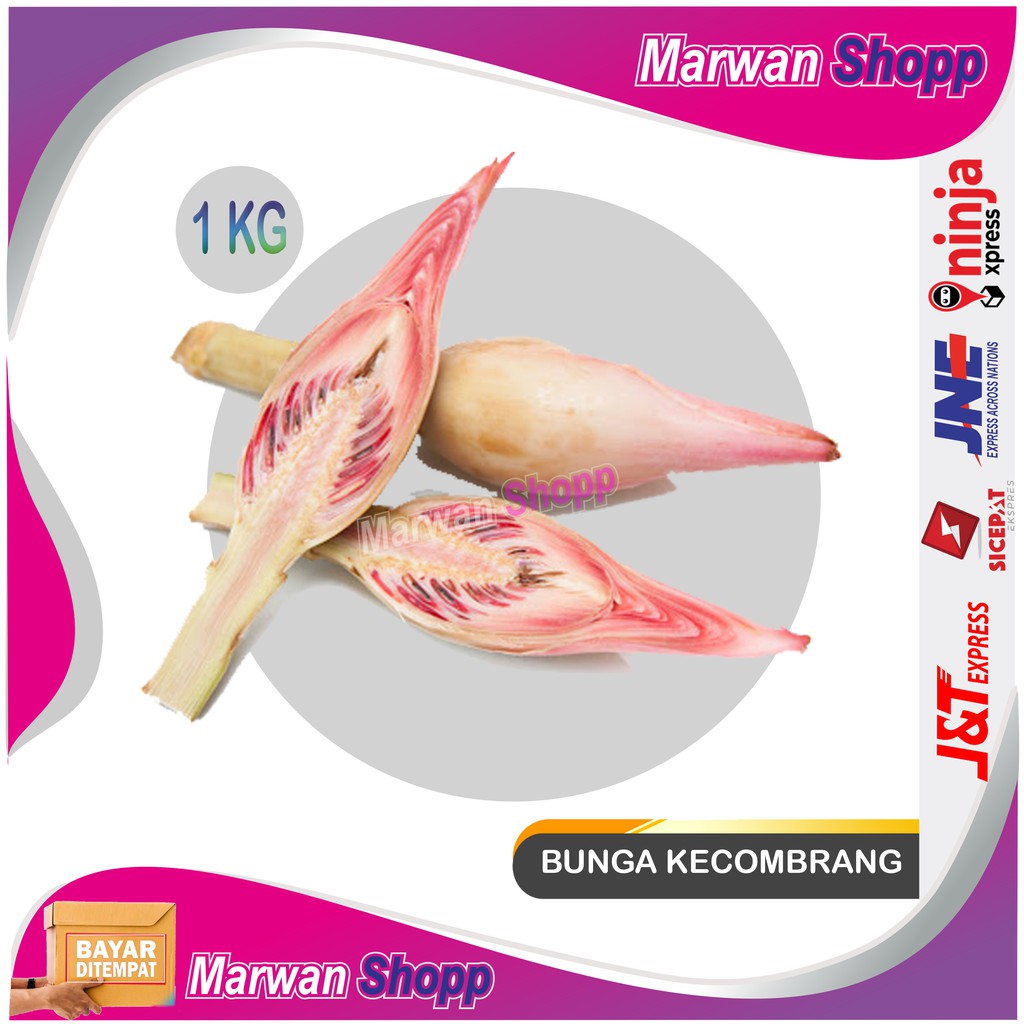 

BUNGA KECOMBRANG ROMBEH HONJE 1 KG MARWAN SHOPP