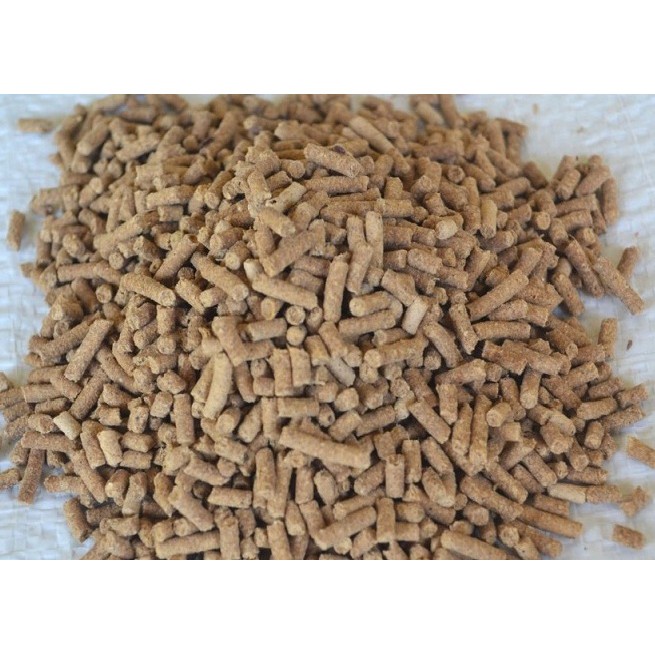 Pakan Udang Lobster air tawar per kg