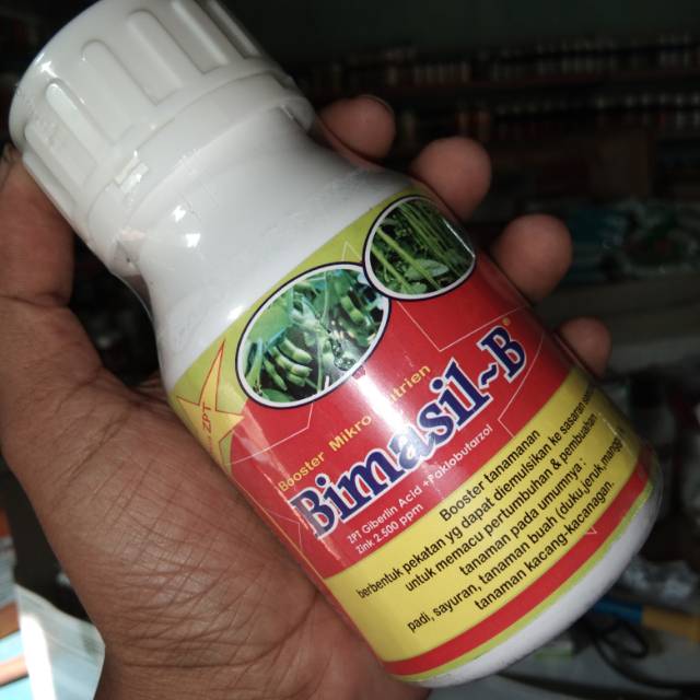 Jual Booster Buah Bimasil B Kemasan 250 Ml Indonesia|Shopee Indonesia