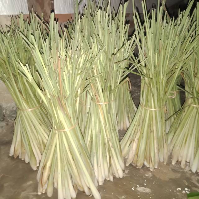 

Daun Sereh 250gr