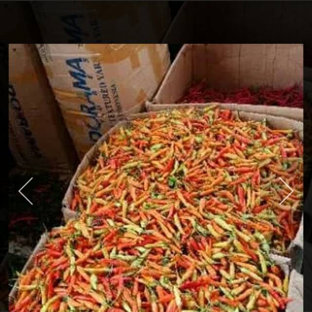 

Cabe rawit merah per 100 gr