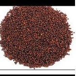 

BLACK MUSTARD SEED / BIJJ SAWI 1 KG