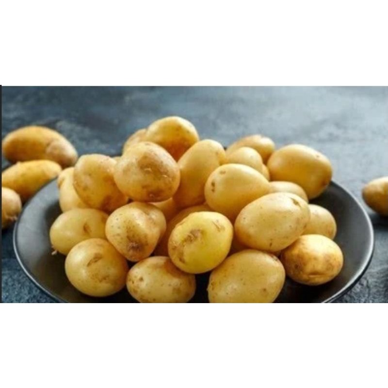 

kentang 500 gr