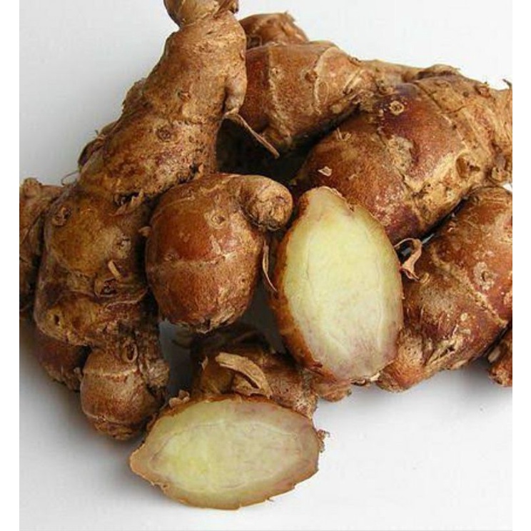 

kencur fresh 250grm