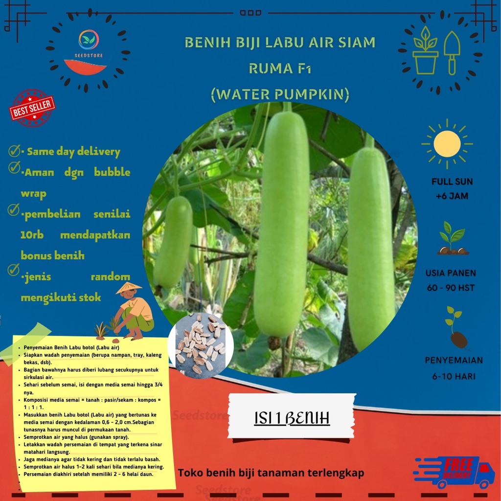 1 Benih labu Siam Air Ruma F1