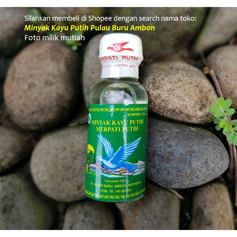 Minyak Kayu Putih Ambon Maluku Merpati Putih 22 Ml Indonesia