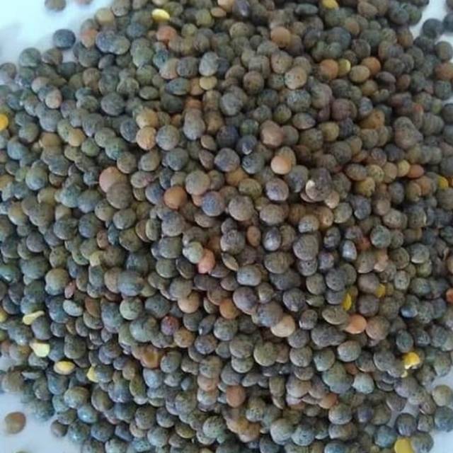 

Du Puy Lentils/ LENTIL 500 gram