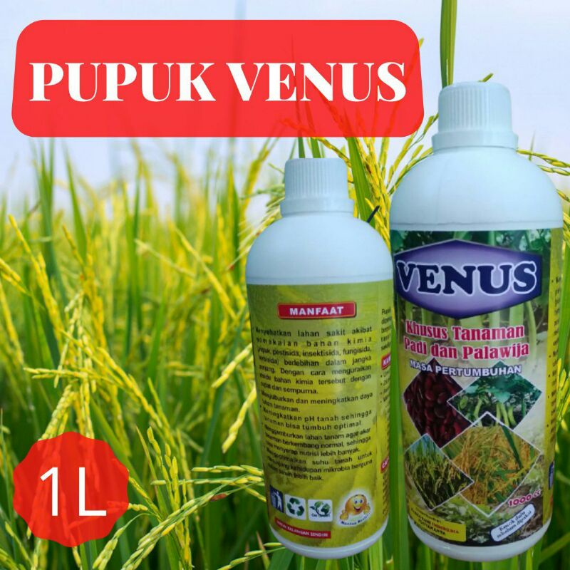 Pupuk Cair Untuk Padi Terbaik, Venus Penambah Bobot Padi, Pembenah Tanah Dan Penyubur Tanaman 1Liter