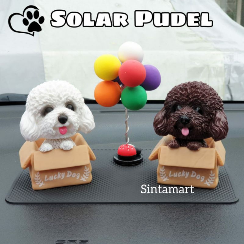 Hiasan Dashboard Anjing Pudel Solar Pudel