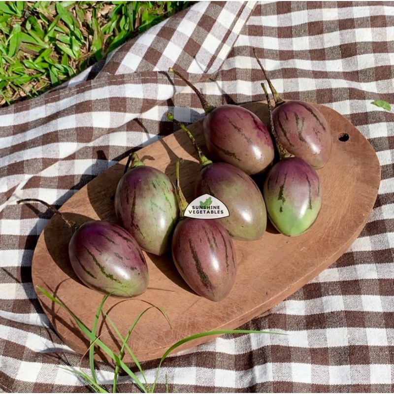 

TERONG BELANDA by Sunshine Vegetables