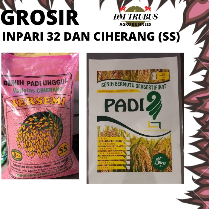 Benih Bibit Padi Inpari 32 Dan Ciherang 50 kg 10 PCS