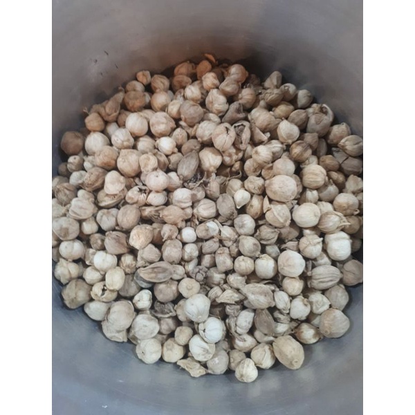 

Bumbu Rempah Kapulaga Kapolaga Biji Utuh 1kg