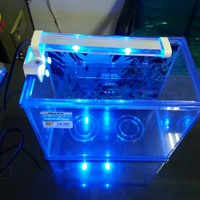 Lampu LED Jepit Aquarium 30cm - 40cm merk YANG Body Kaca LED - 8W / 10 W