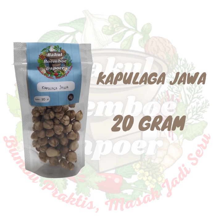 

Unik 20gr 50gr KAPULAGA JAWA / TRUE CARDAMOM / REMPAH PREMIUM QUALITY - 20 gram Diskon