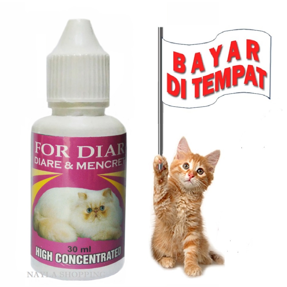 FOR DIAR - OBAT KUCING MENCRET DIARE KITTEN AMPUH