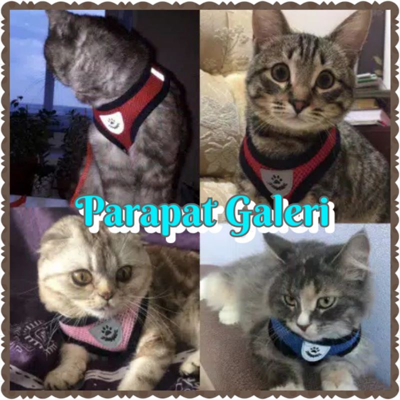 Harness Tali Tuntun Kucing - Rompi Anjing Kwalitas Import - 1 set