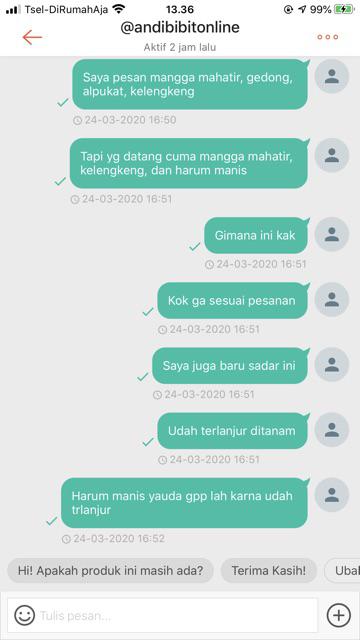 Tanaman Kelengkeng Pingpong (tinggi 40-60 Cm)