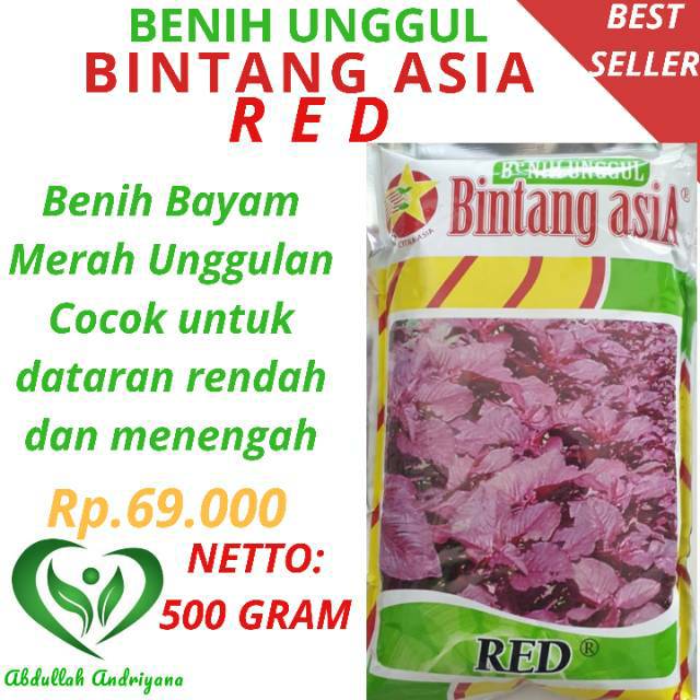 Bibit Bayam Merah Unggul RED 500 Gram Produk Benih Unggulan BINTANG ASIA