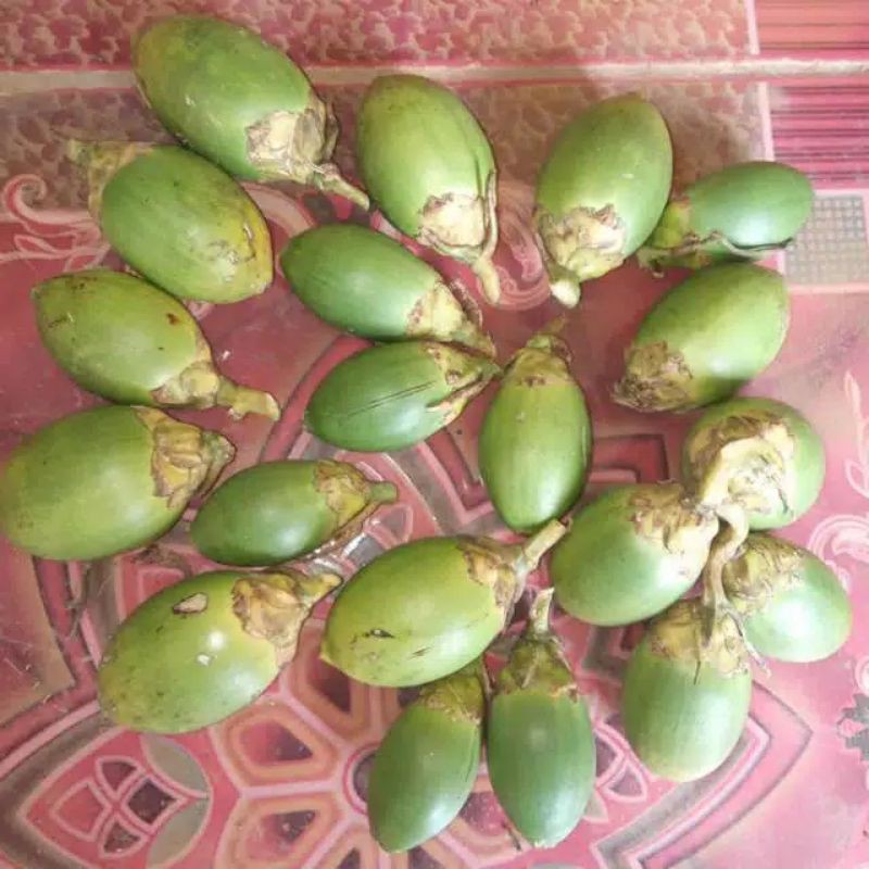 BUAH PINANG MUDA | OBAT KUAT | JAMBE MUDA FRESH 250 Gram