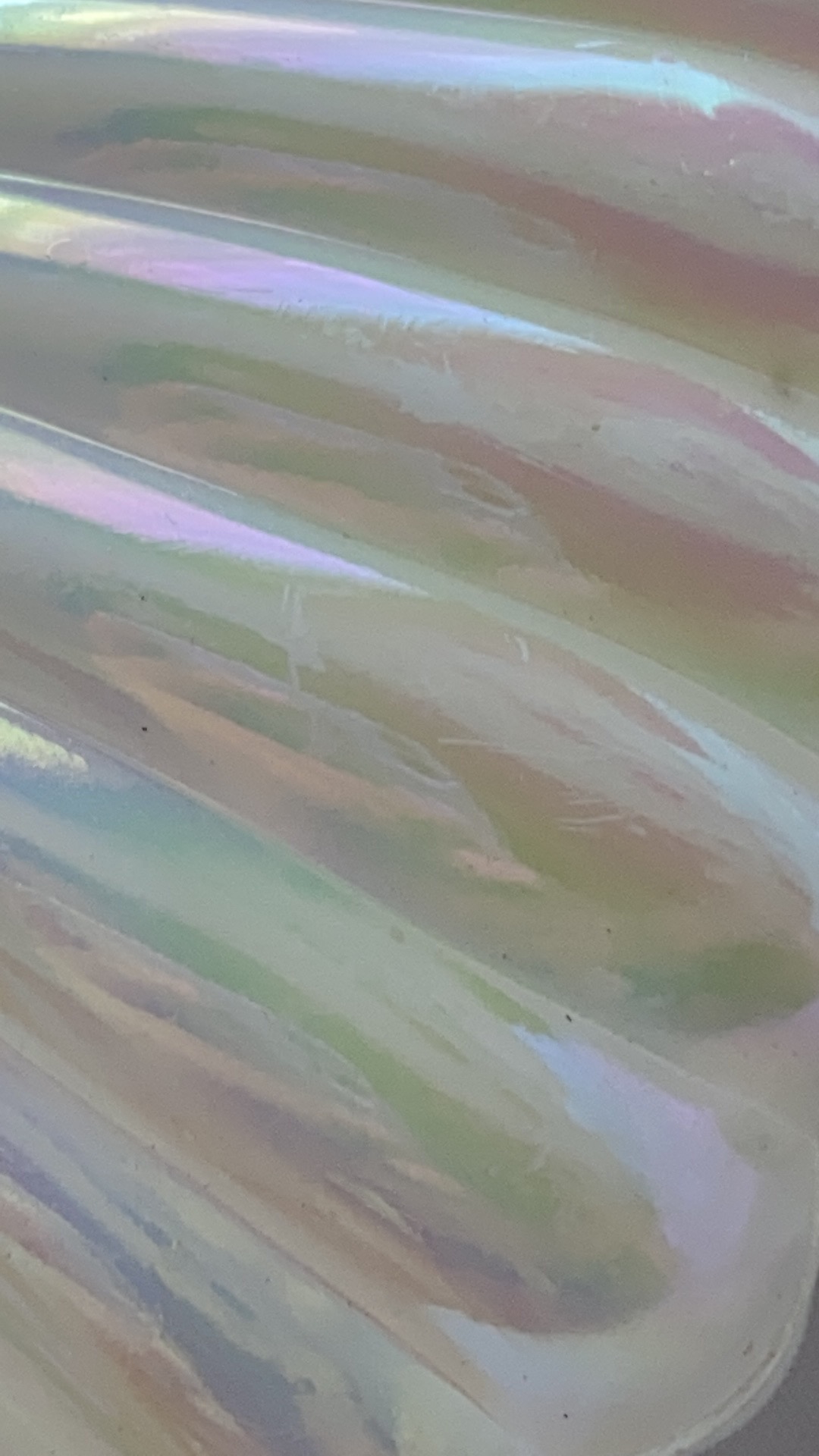 (iffarmerrtu) Kotak Penyimpanan / Organizer Perhiasan / Cincin / Kalung / Anting Bentuk Kerang