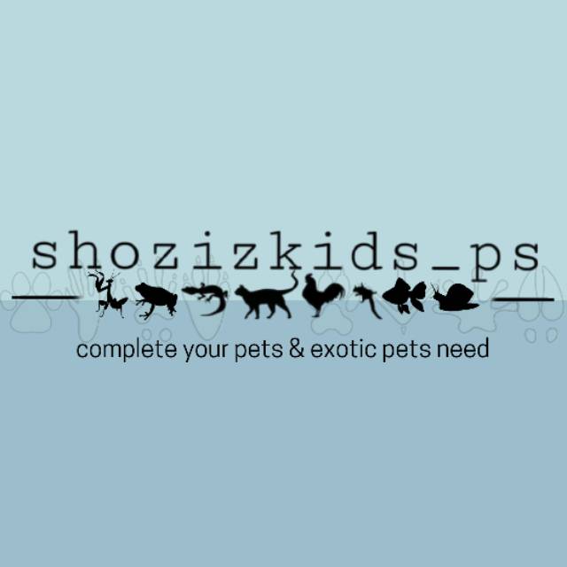 shozizkids_ps