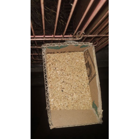 comfeed kosentrat ayam petelur kiloan