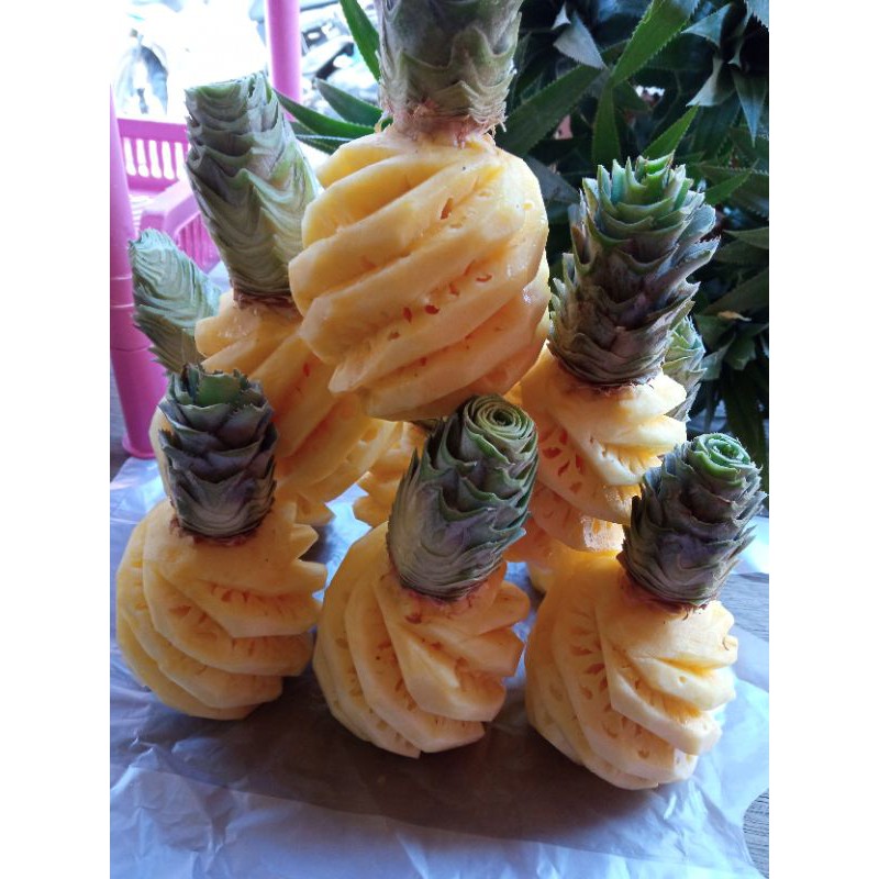 

Buah Nanas Madu Premium isi 9 buah – Manis Alami, Tidak Bikin Gatal – Kirim Cepat-nanas madu tipe Bp isi 9 biji