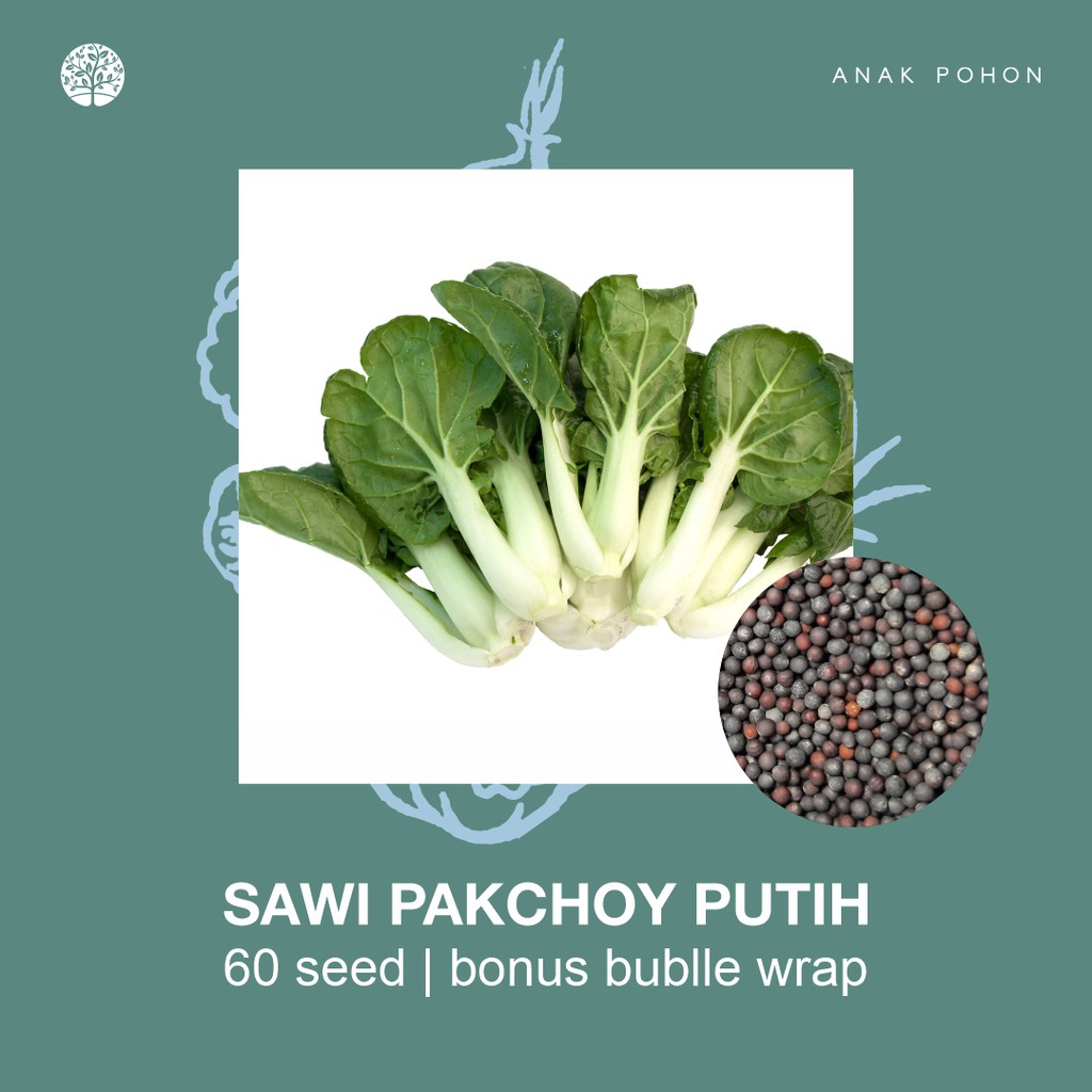 SERBA SERIBU - Benih Bibit Biji - Paket Benih Sayuran DAUN Termurah Kangkung Sawi Selada Seledri Kol-Sawi Pak Choy Putih