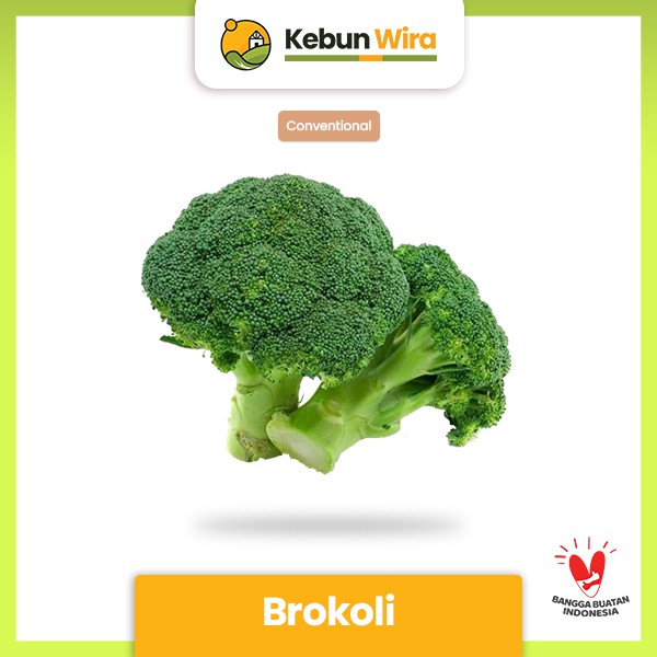 

Brokoli Conventional