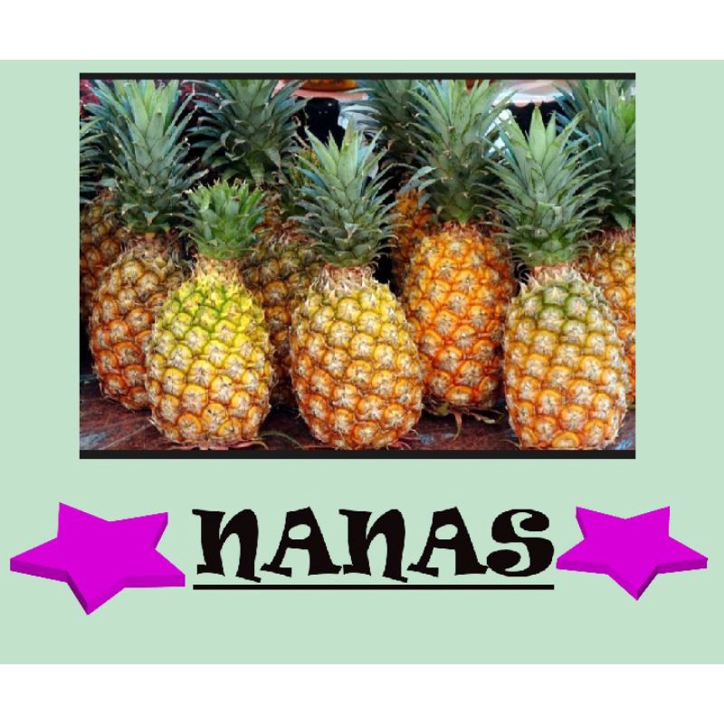 

NANAS