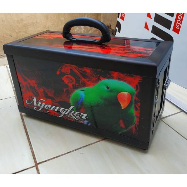 Box Free Fly Untuk Burung Medium Parrot Kakatua Afgrey Bayan