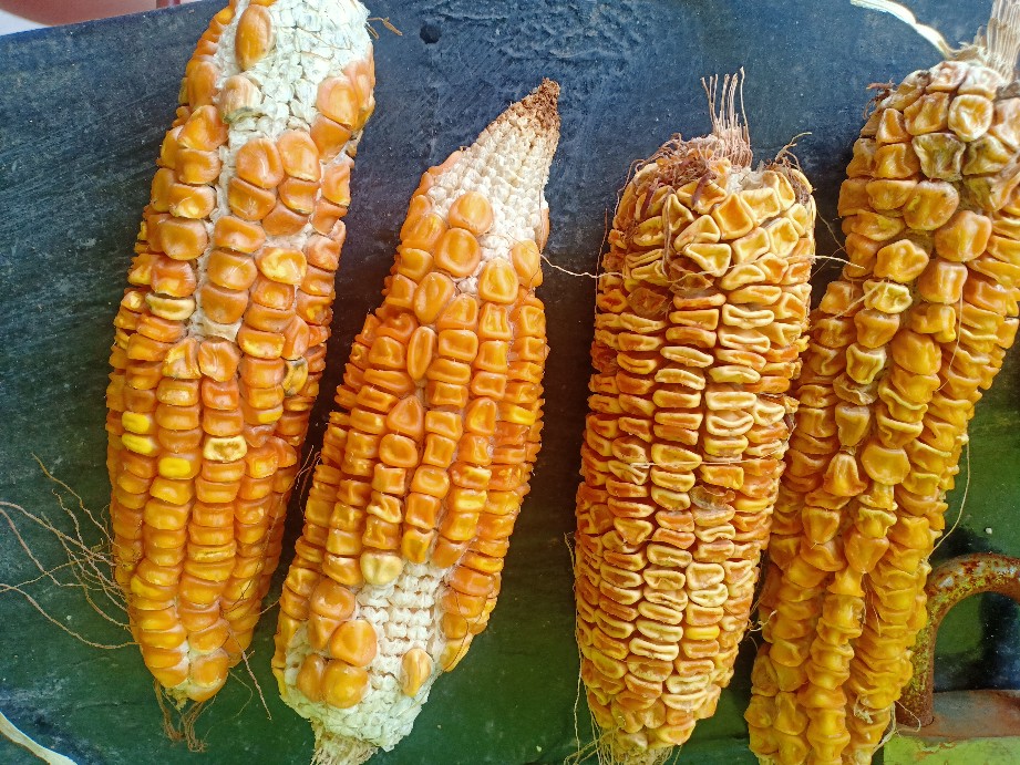 Paket Self Heating Bag & Lunch Box / Kotak Makan Thermal + Flameless Heater Untuk Traveling