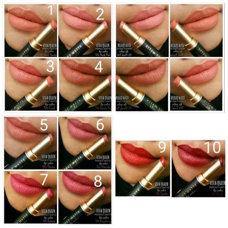 Viva Perfect Matte Lipstik 2,5gr