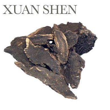 

300 G GR GRAM XUAN SHEN SCROPHULARIA NINGPO FIGWORT ROOT RADIX SCROPHULARIAE